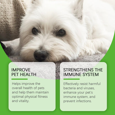 Dietary Supplements For Pets And Dogs