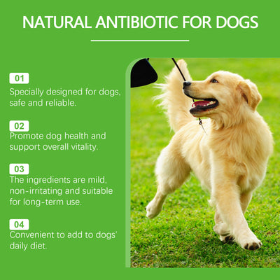 Dietary Supplements For Pets And Dogs