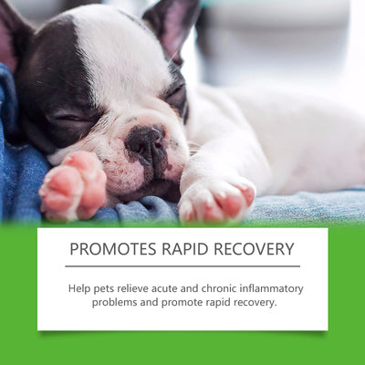 Dietary Supplements For Pets And Dogs